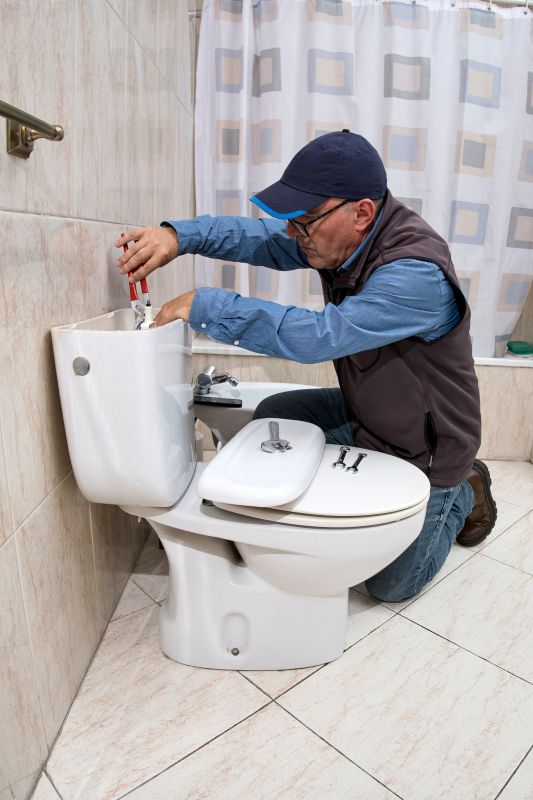 Commercial Toilet Repair detail